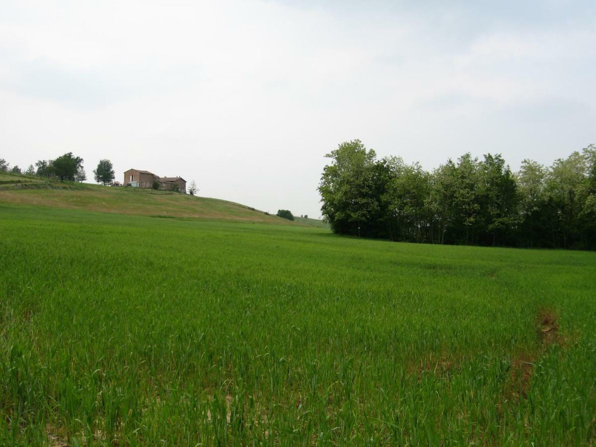 Agriturismo Ca' Preda Villa San Giorgio Piacentino Luaran gambar