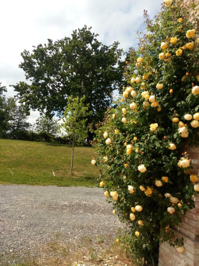 Agriturismo Ca' Preda Villa San Giorgio Piacentino Luaran gambar