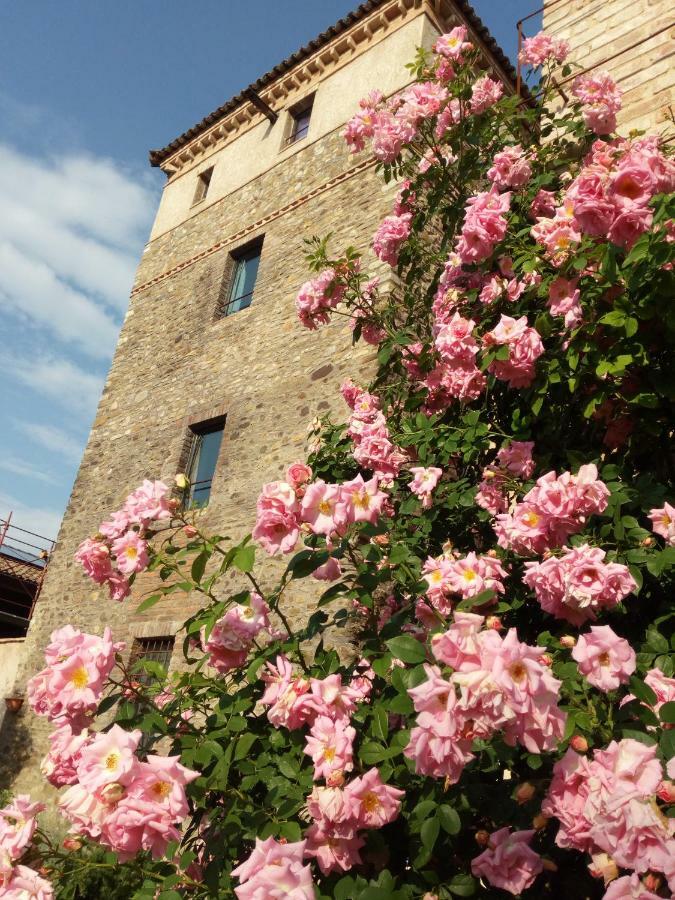 Agriturismo Ca' Preda Villa San Giorgio Piacentino Luaran gambar